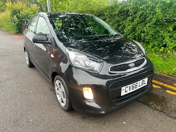 Used Kia Picanto 2016 for sale - 78770556: Photo