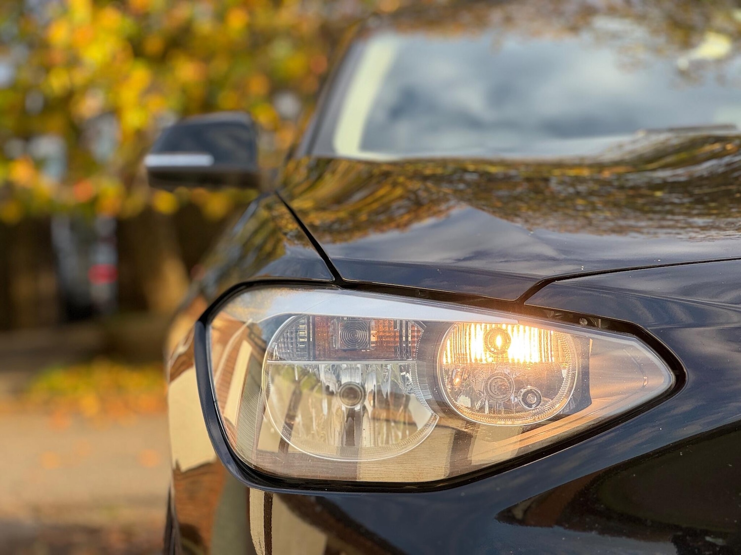 Used BMW 1 Series 2014 for sale - 76484616: Photo 3