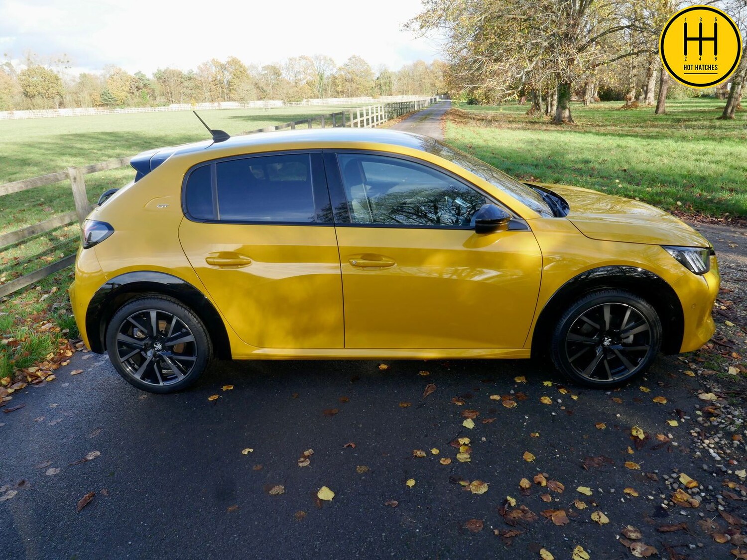 Used Peugeot 208 2021 for sale - 76361668: Photo 65
