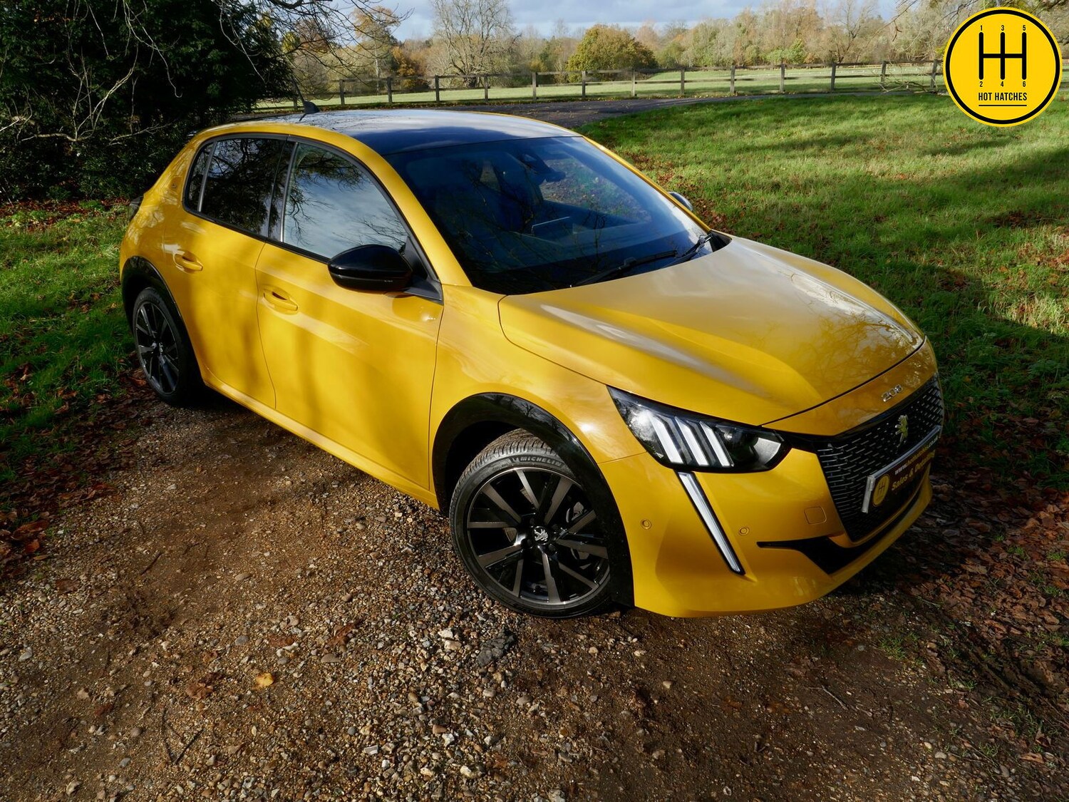 Used Peugeot 208 2021 for sale - 76361668: Photo 83