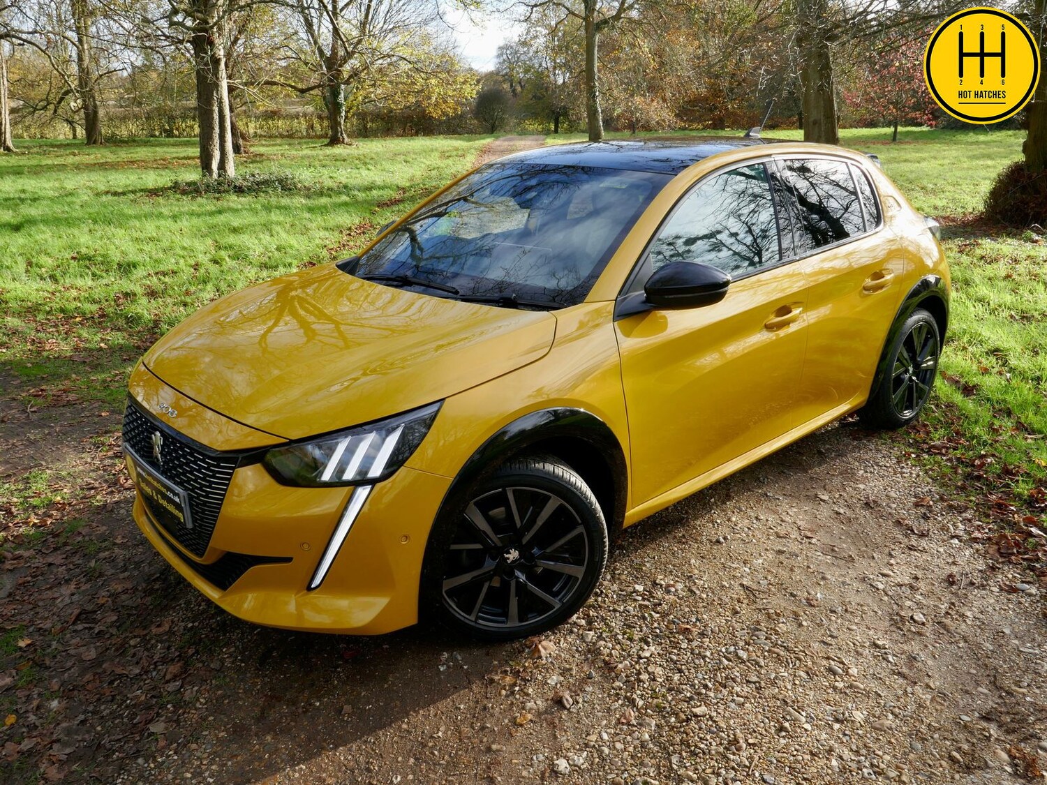 Used Peugeot 208 2021 for sale - 76361668: Photo 96