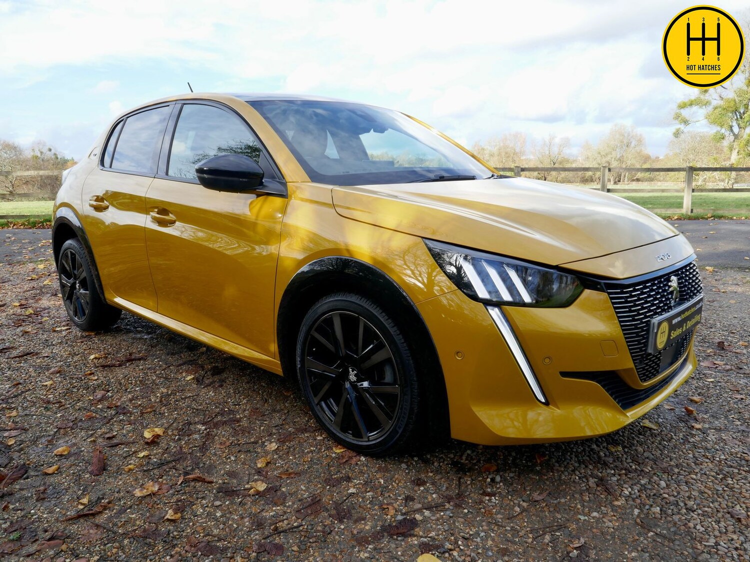 Used Peugeot 208 2021 for sale - 76361668: Photo 98