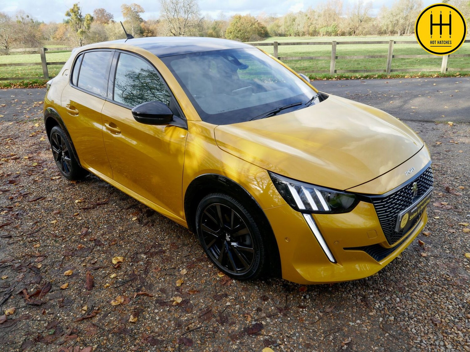 Used Peugeot 208 2021 for sale - 76361668: Photo 99