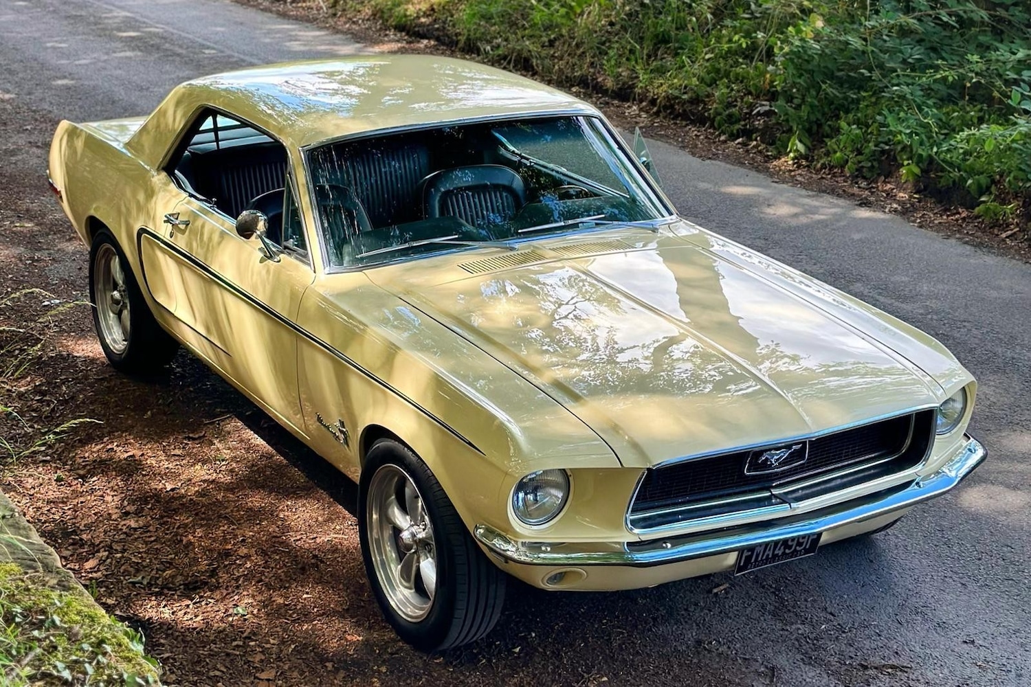 Used Ford Other 2016 for sale - 77589796: Photo 5