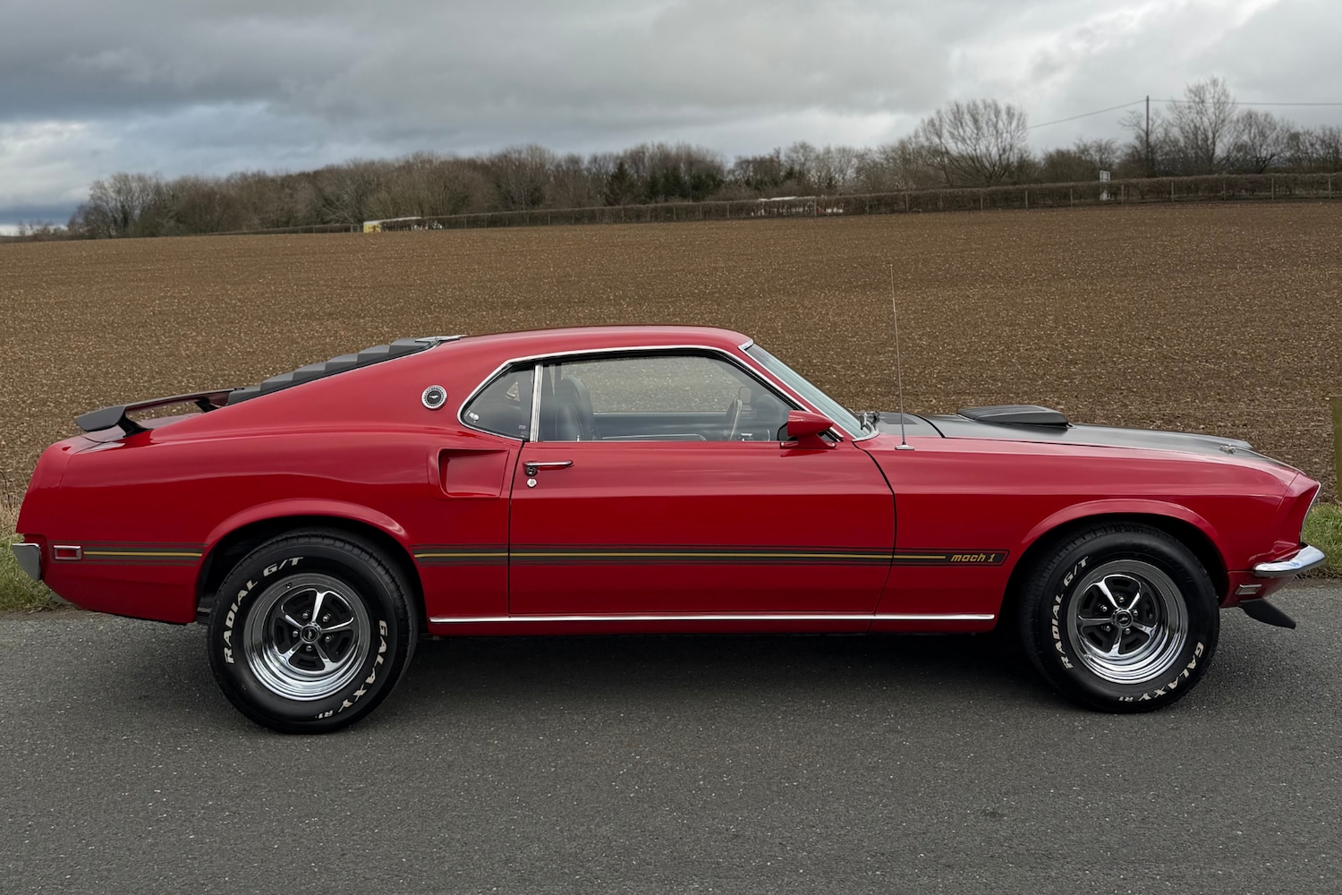 Used Ford Mustang 2016 for sale - 77687773: Photo 28