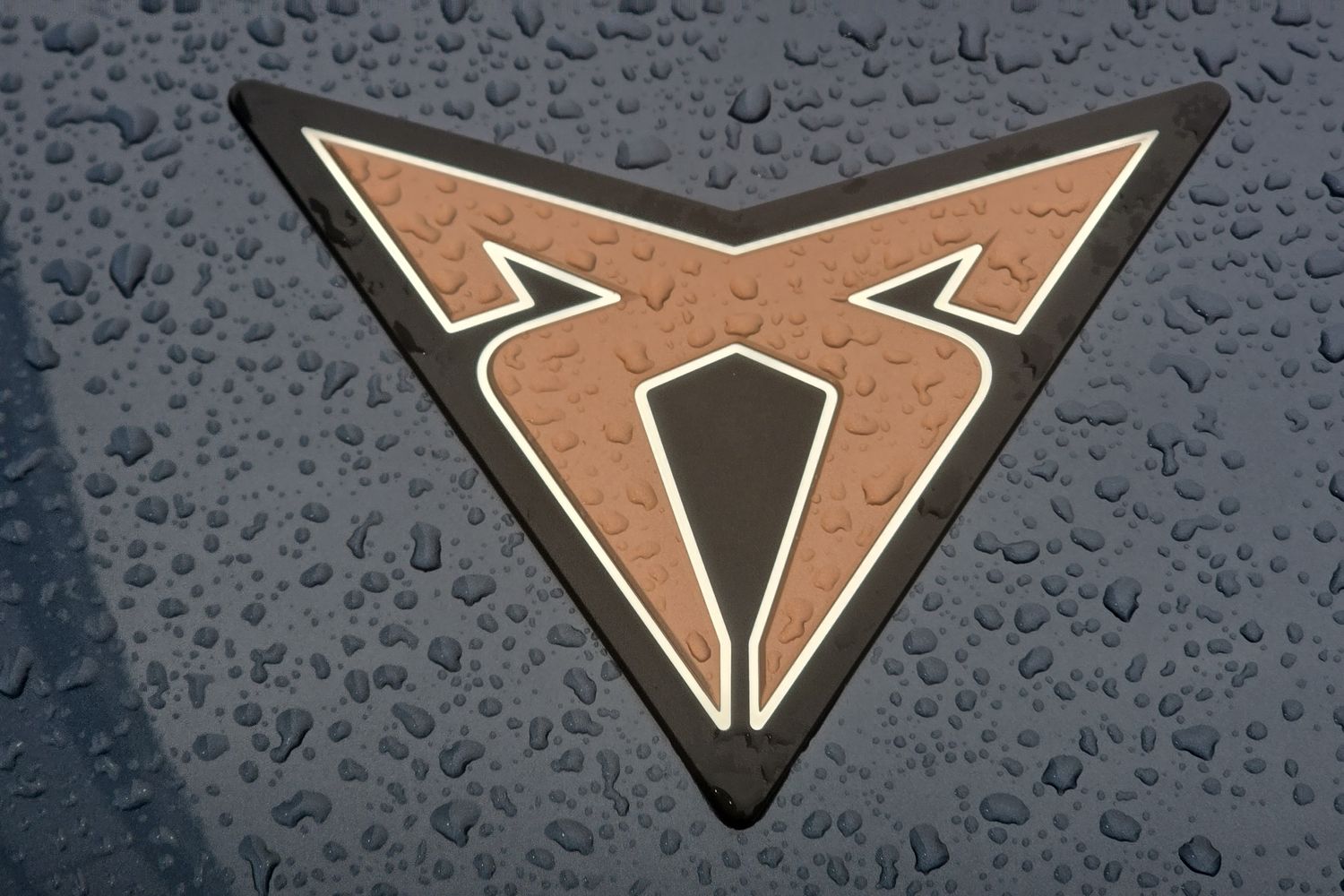 Used Cupra Tavascan 2025 for sale - 78105518: Photo 18