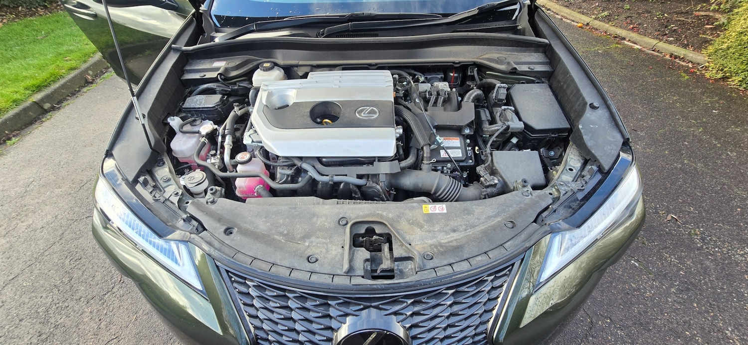 Used Lexus UX 2023 for sale - 77522299: Photo 41