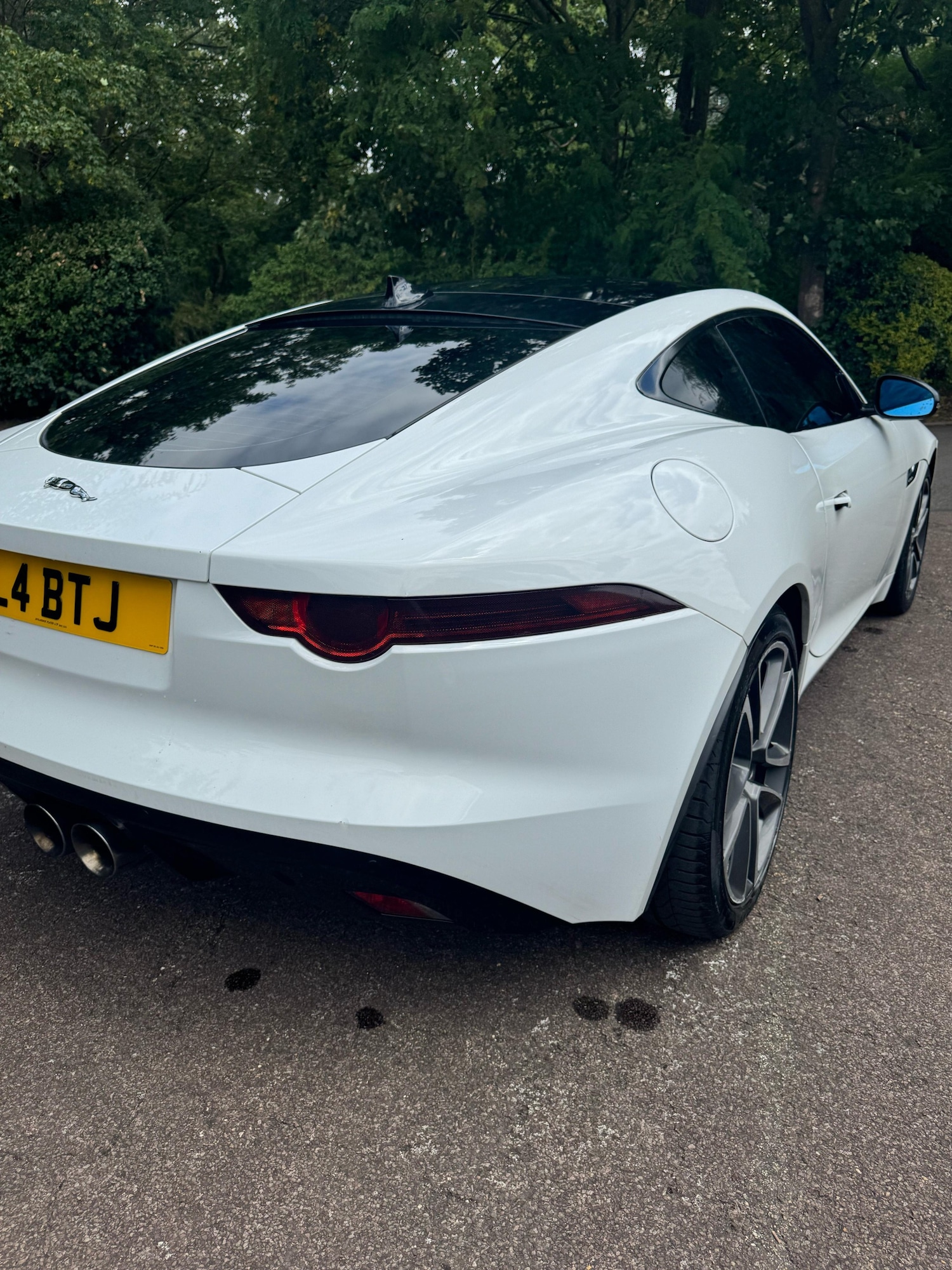 Used Jaguar F-Type 2015 for sale - 77198078: Photo 12