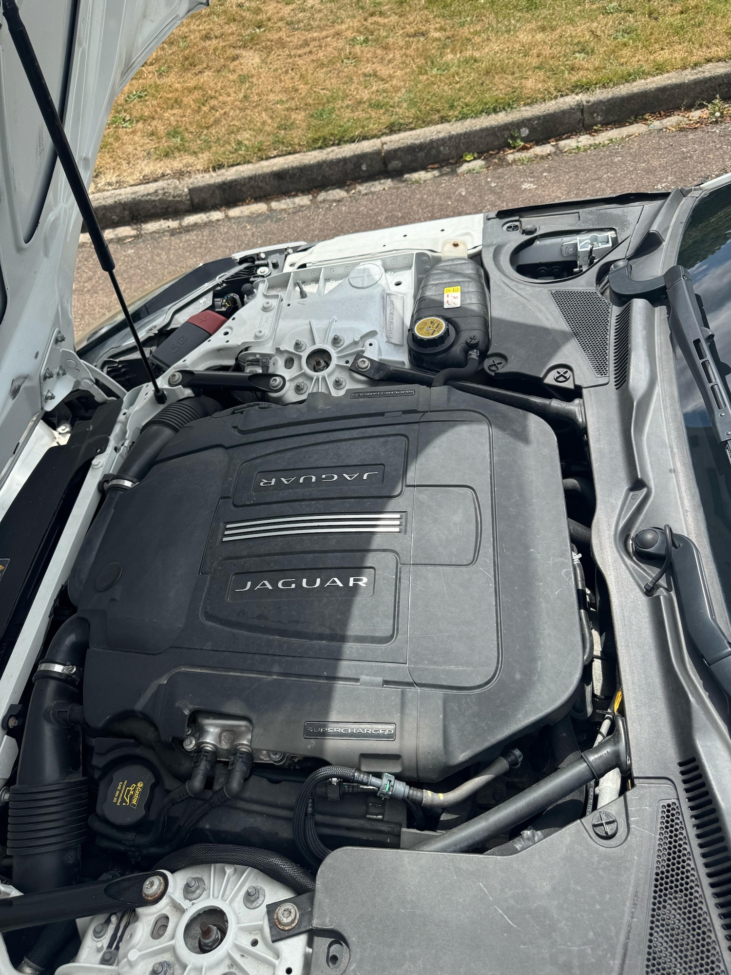 Used Jaguar F-Type 2015 for sale - 77198078: Photo 18