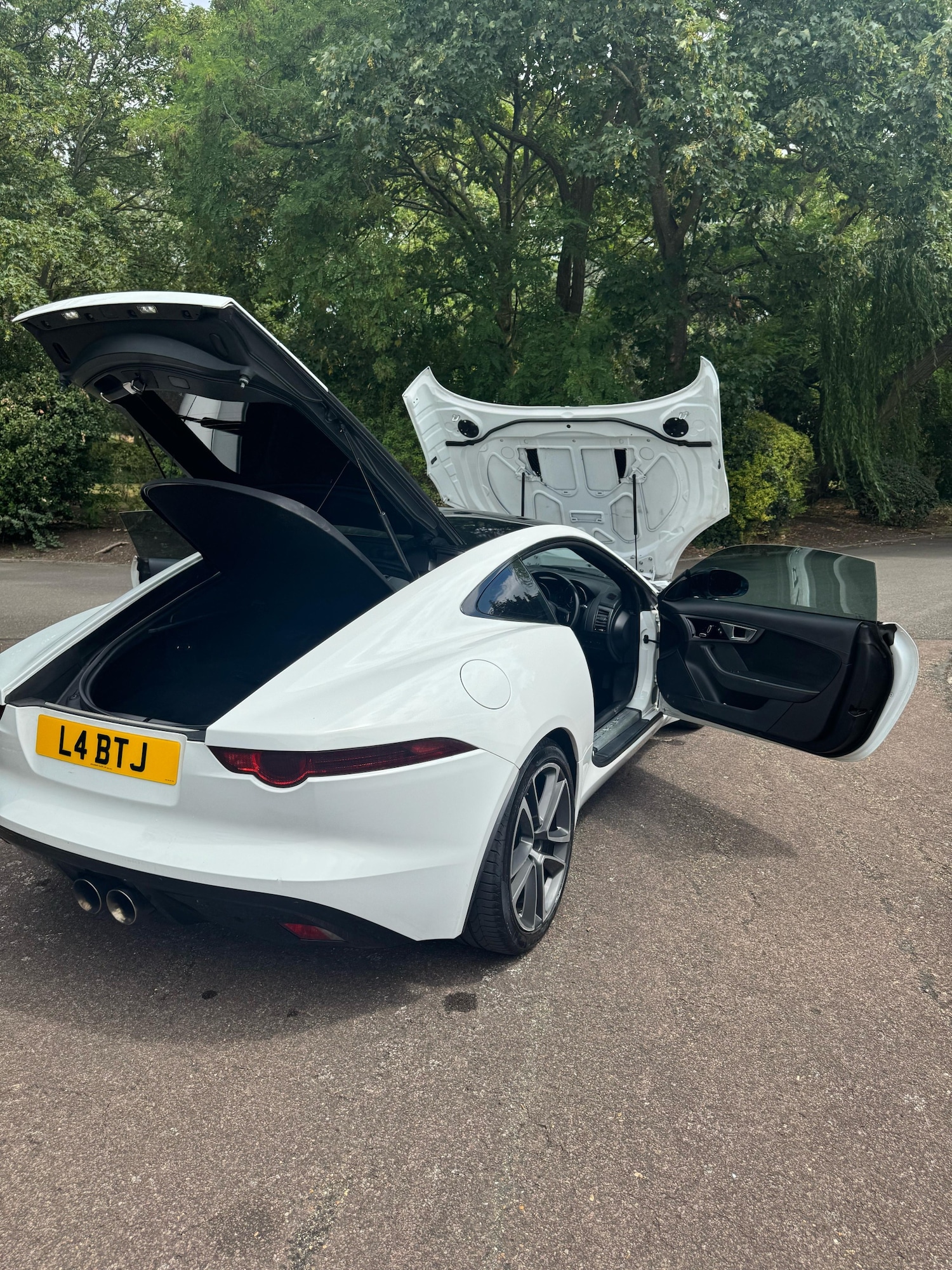 Used Jaguar F-Type 2015 for sale - 77198078: Photo 21