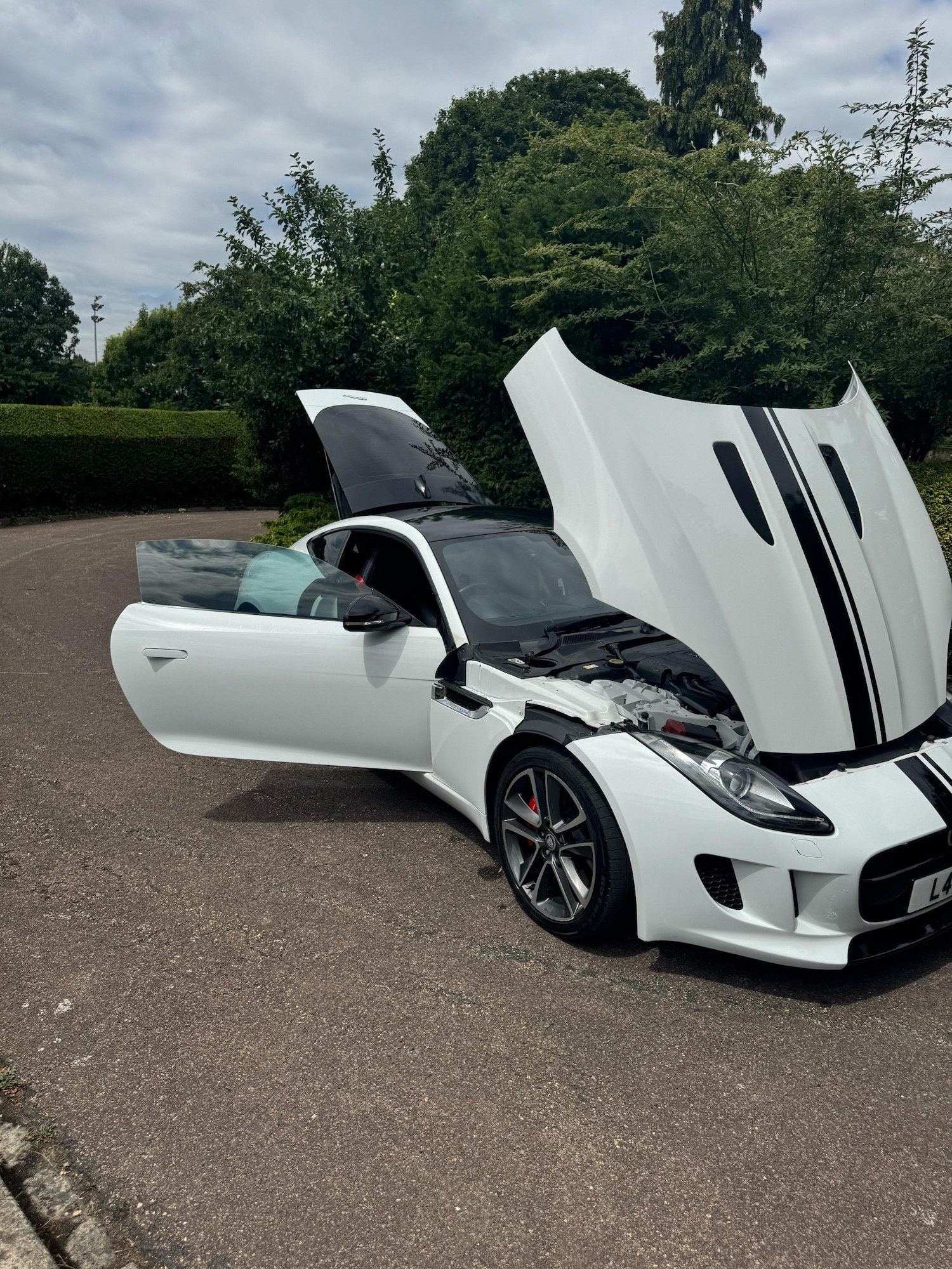Used Jaguar F-Type 2015 for sale - 77198078: Photo 49
