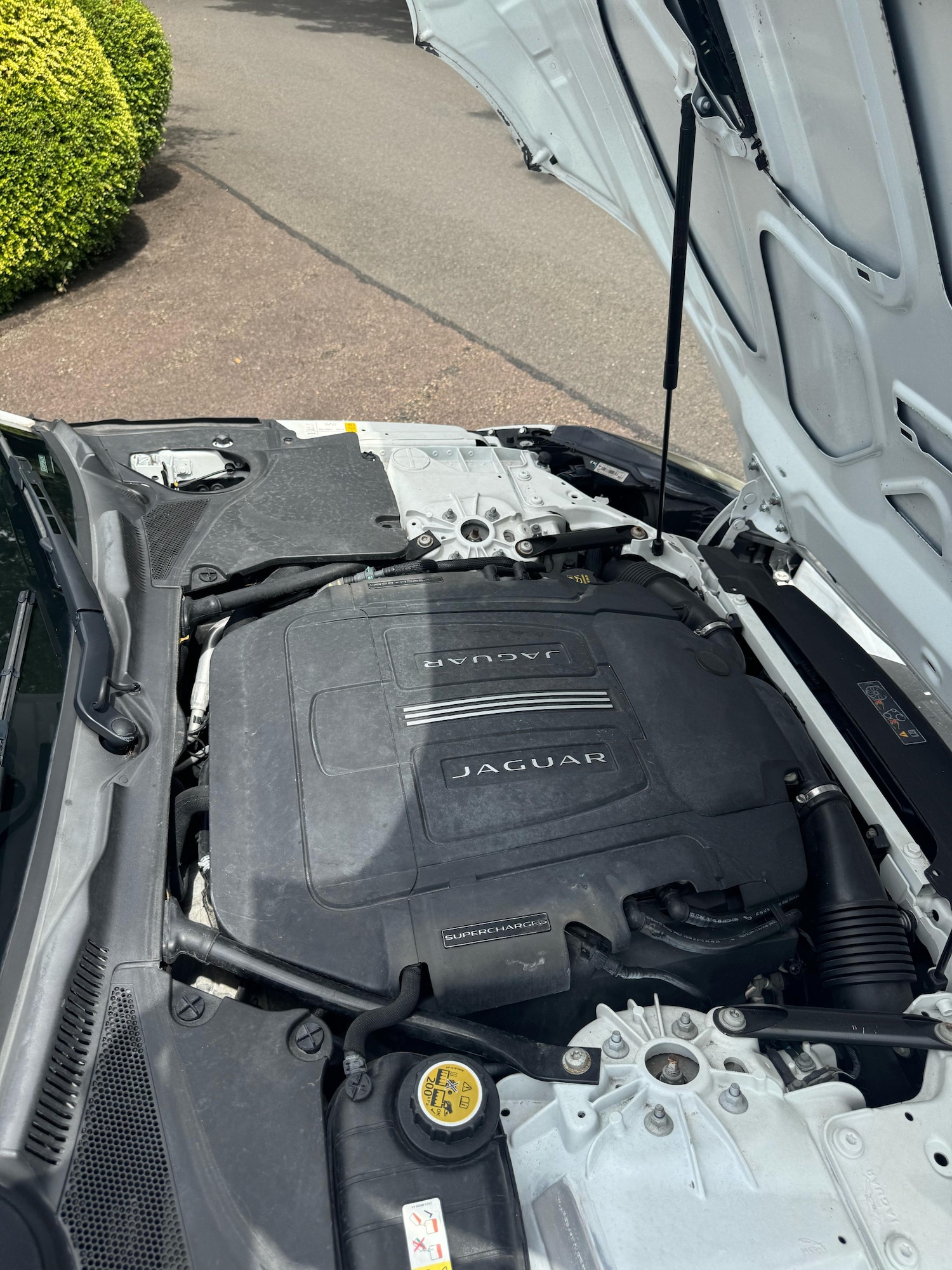 Used Jaguar F-Type 2015 for sale - 77198078: Photo 5