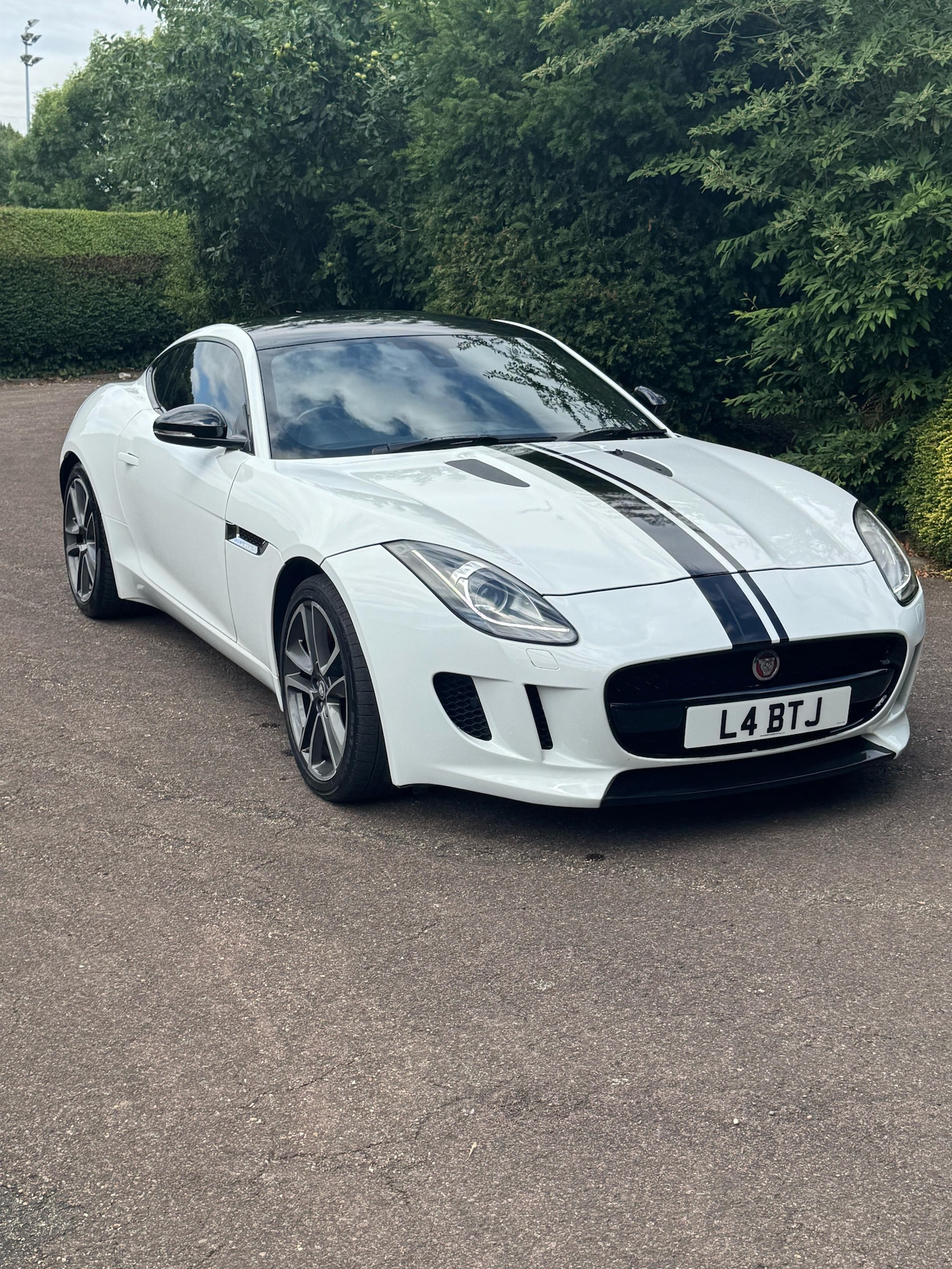 Used Jaguar F-Type 2015 for sale - 77198078: Photo 50