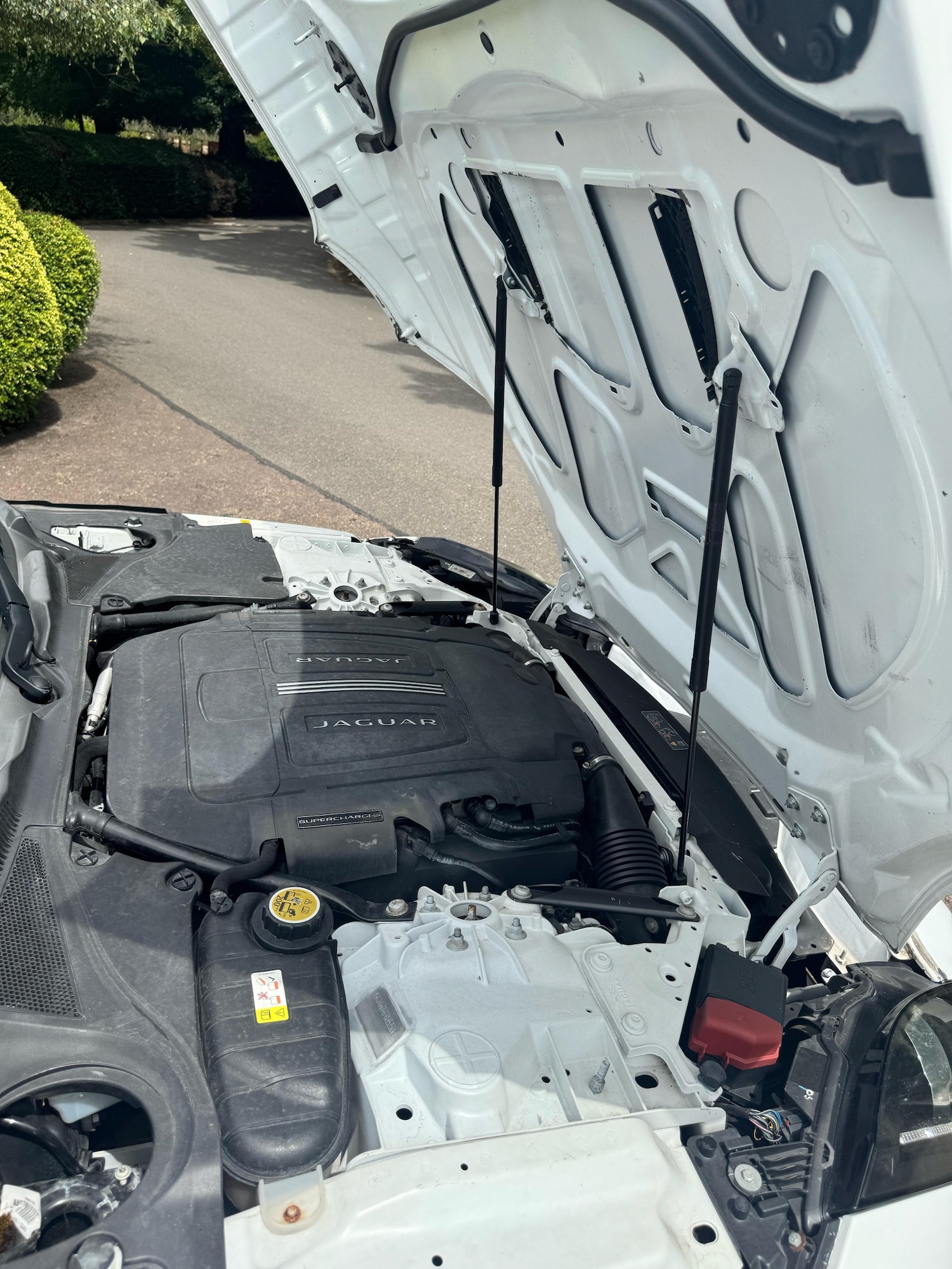 Used Jaguar F-Type 2015 for sale - 77198078: Photo 51