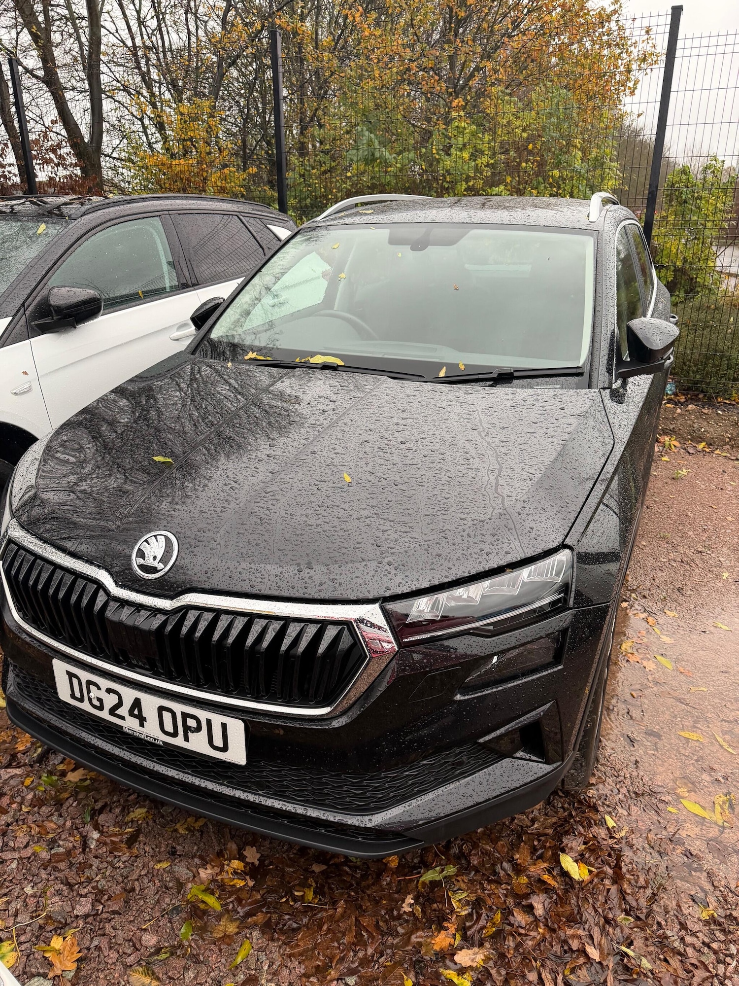 Used Skoda Karoq 2024 for sale - 76584166: Photo 1