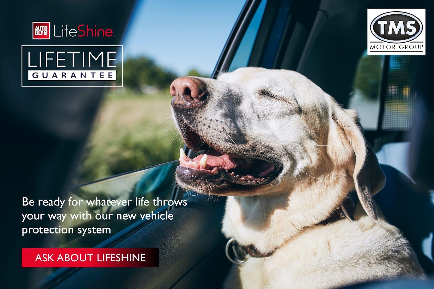 Used Peugeot 208 2022 for sale - 77279589: Photo 2