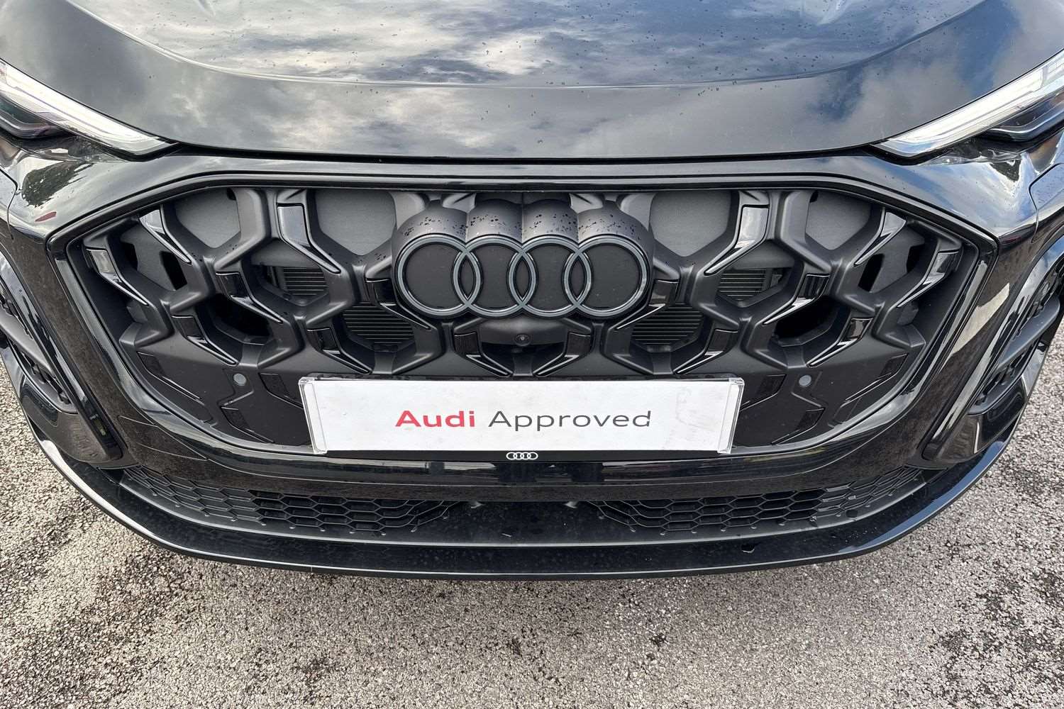 Used Audi Q5 2025 for sale - 76176919: Photo 25