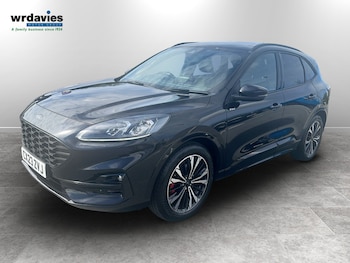 Used Ford Kuga 2023 for sale - 79566148: Photo