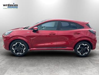 Used Ford Puma 2025 for sale - 79490279: Photo
