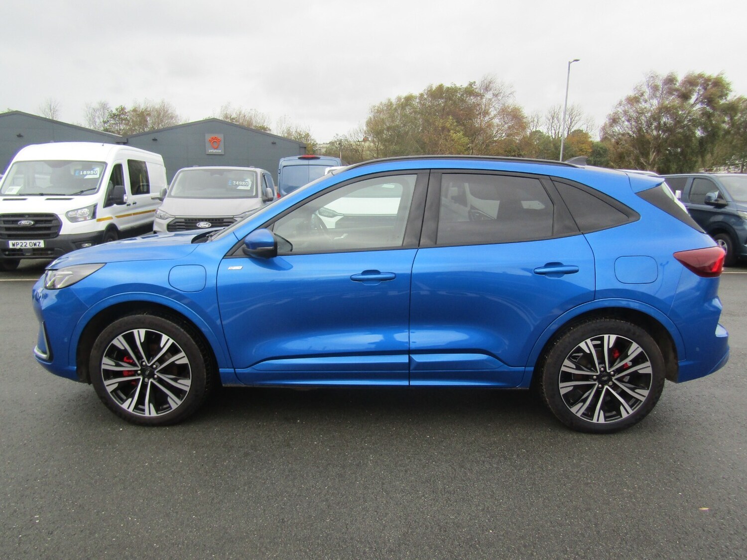 Used Ford Kuga 2024 for sale - 77717886: Photo 6