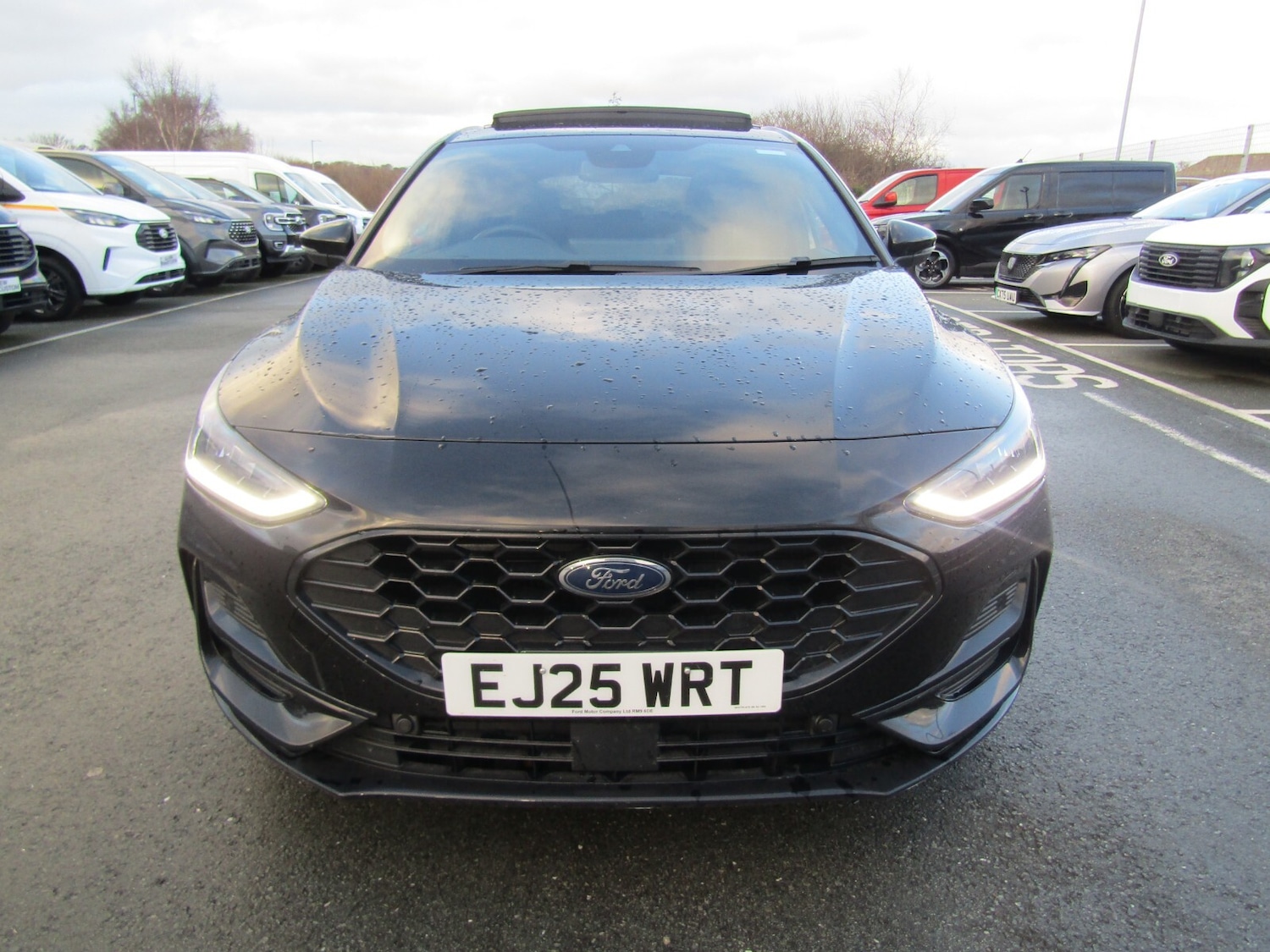 Used Ford Focus 2025 for sale - 77225099: Photo 8