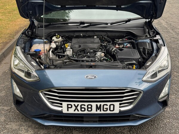 Used Ford Focus 2018 for sale - 75692465: Photo 12