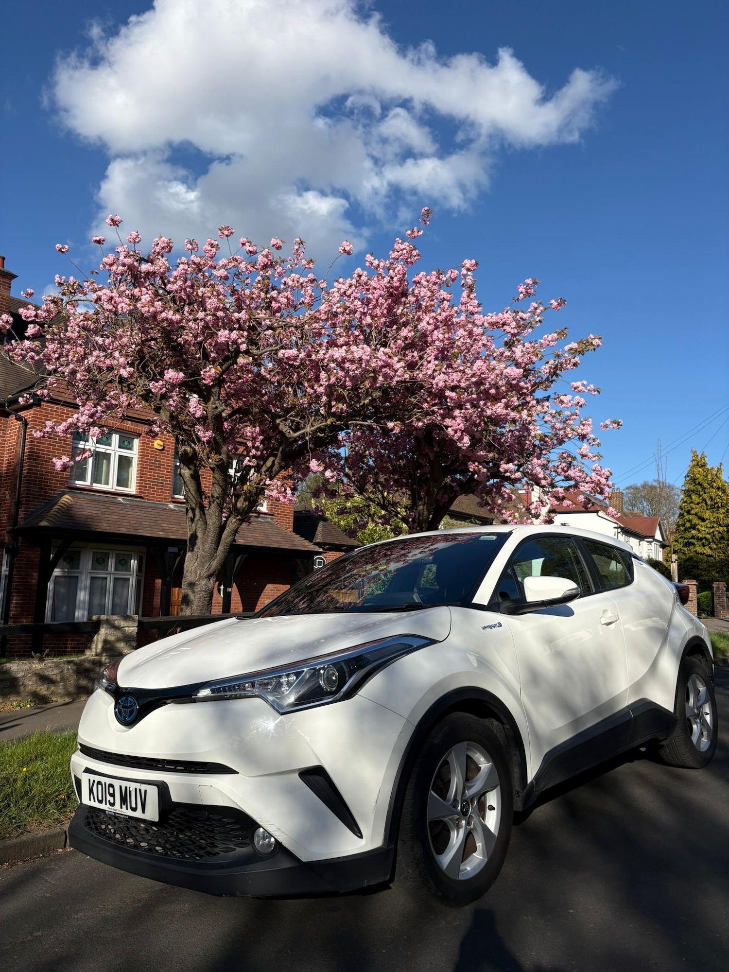 Used Toyota C-HR 2019 for sale - 78213739: Photo 6