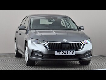 Used Skoda Octavia 2024 for sale - 79365186: Photo