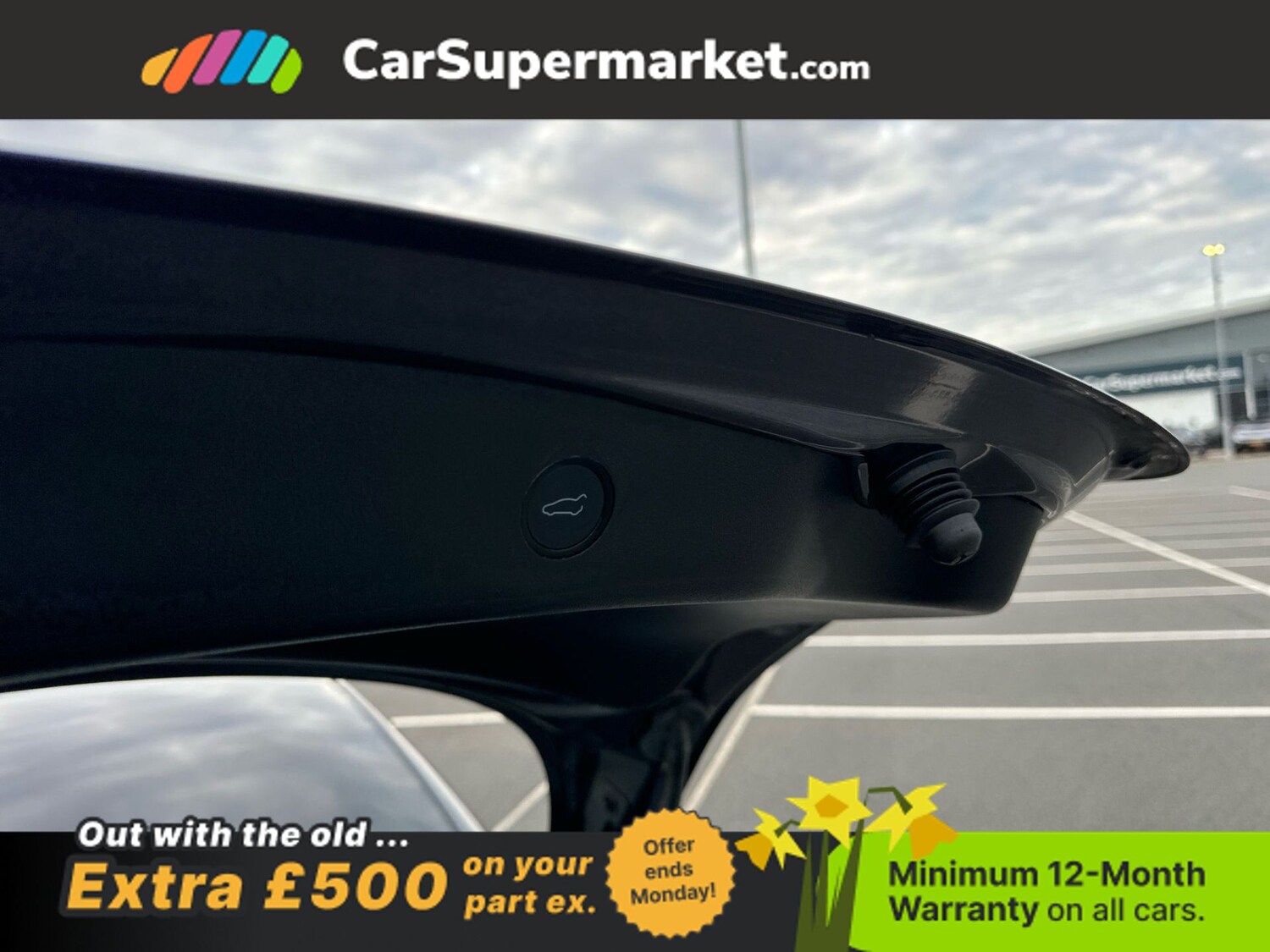 Used Tesla Model 3 2023 for sale - 77973346: Photo 30