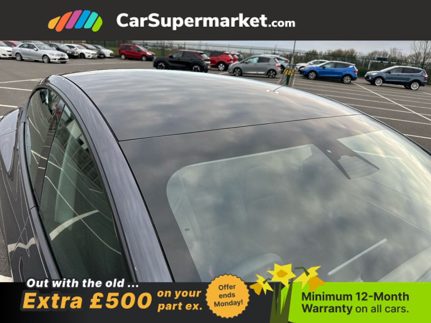 Used Tesla Model 3 2023 for sale - 77973346: Photo 8