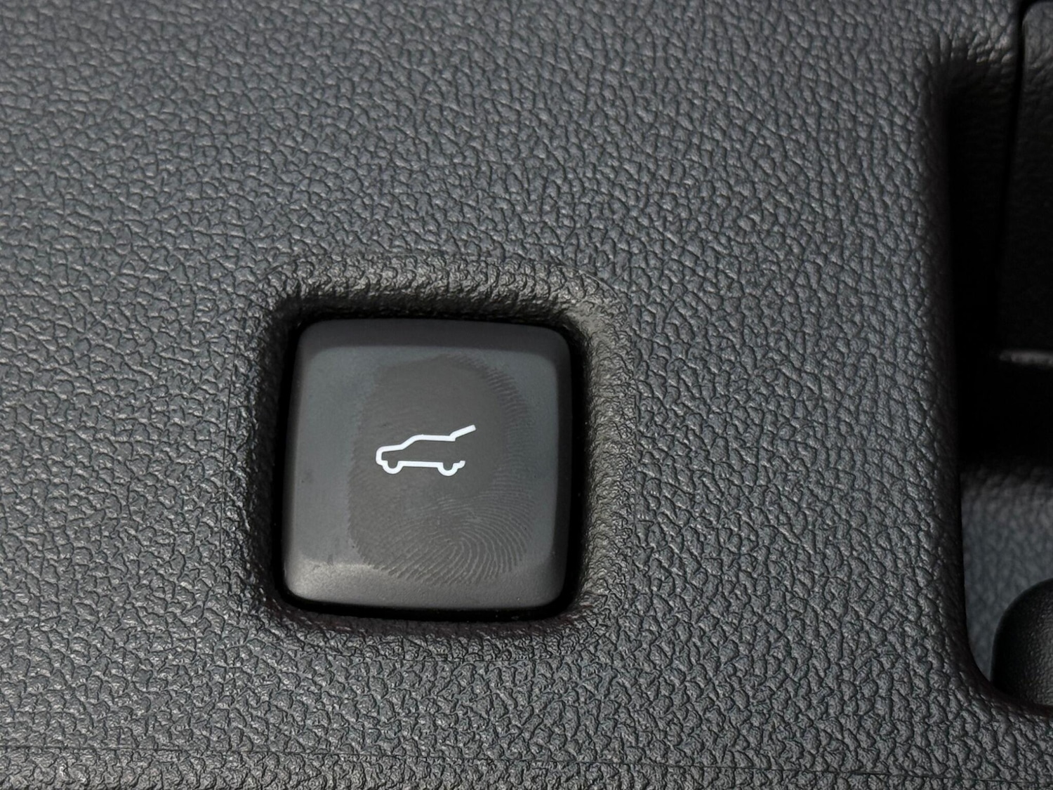 Used Ford Kuga 2024 for sale - 77181194: Photo 11