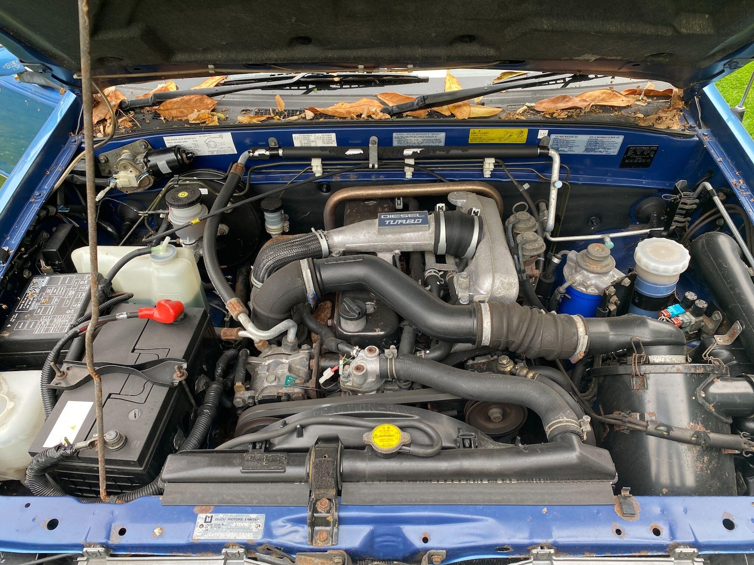 Used Isuzu Rodeo 2002 for sale - 76337156: Photo 47