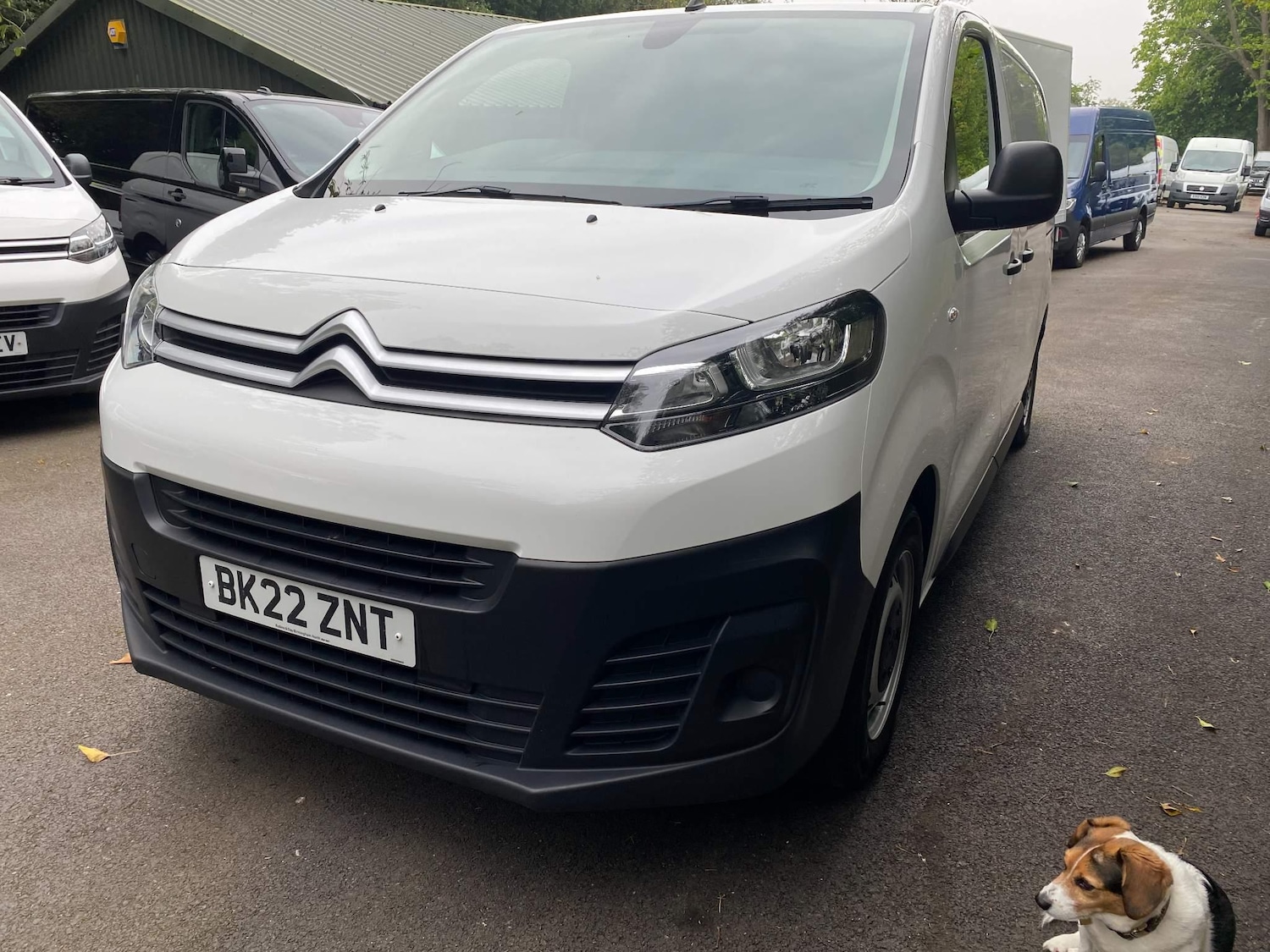 Used Citroen Dispatch 2022 for sale - 76990812: Photo 22