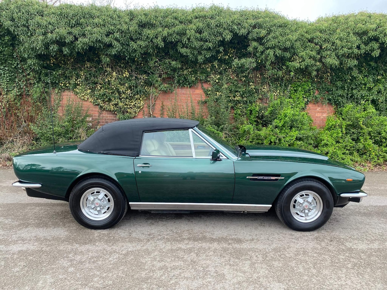 Used Aston Martin V8 1979 for sale - 76766000: Photo 1