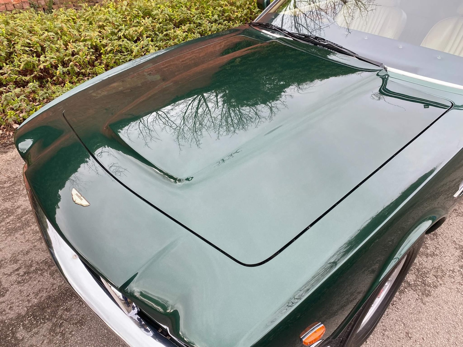 Used Aston Martin V8 1979 for sale - 76766000: Photo 23
