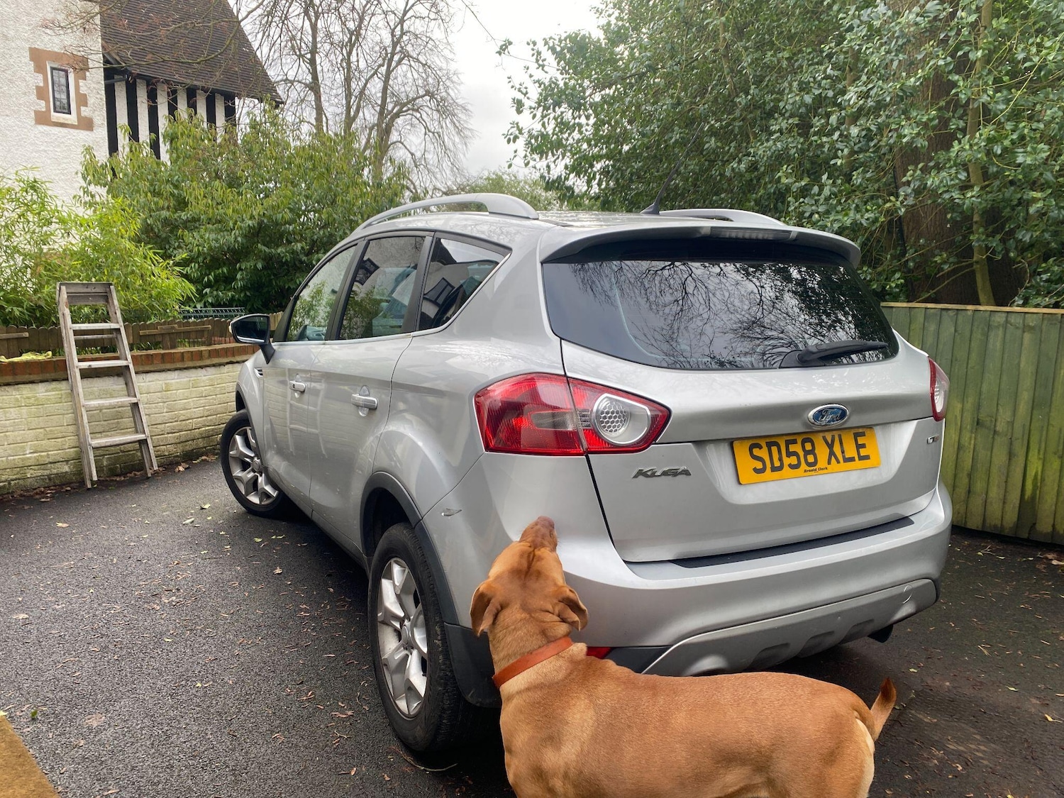 Used Ford Kuga 2008 for sale - 77633740: Photo 5