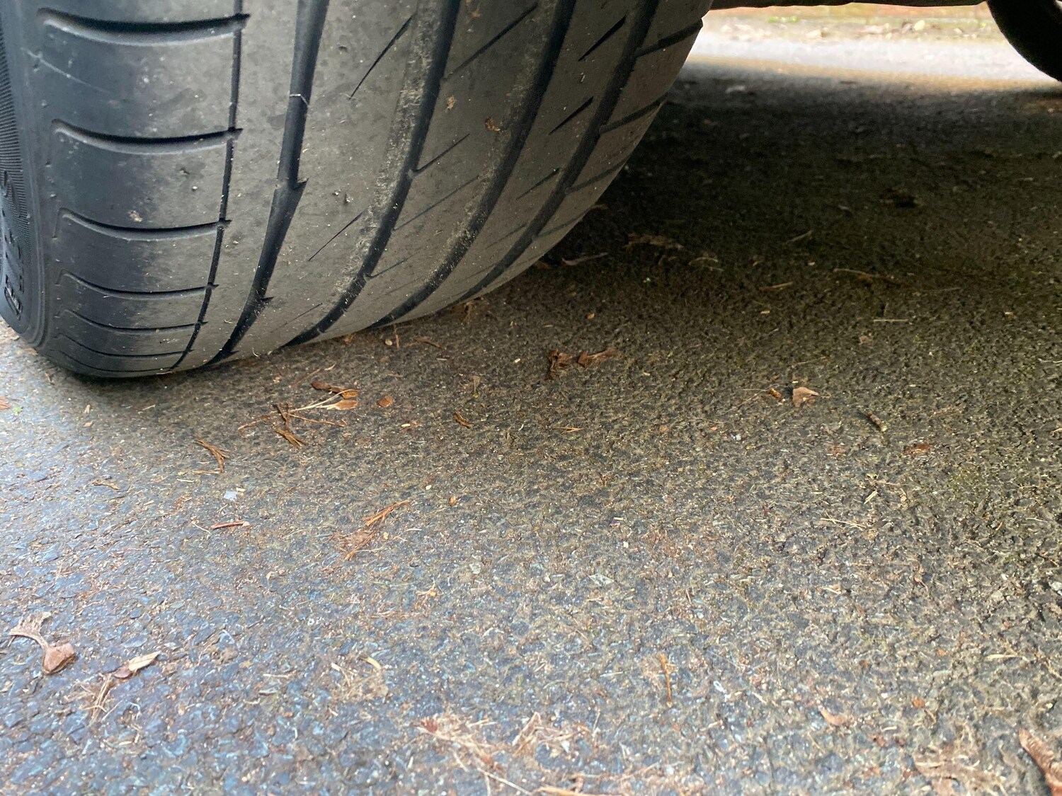 Used BMW 3 Series for sale - 78220386: Photo 30