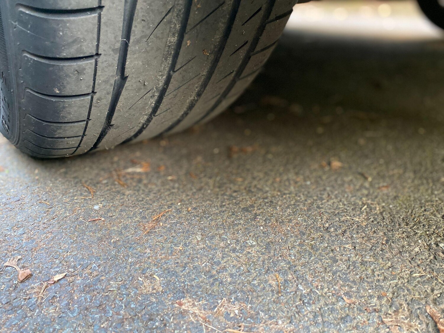 Used BMW 3 Series for sale - 78220386: Photo 31