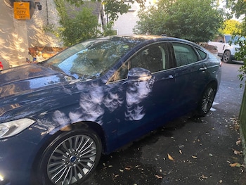Used Ford Mondeo 2020 for sale - 79497002: Photo