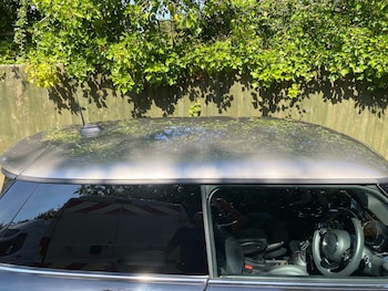 Used MINI Hatch 2019 for sale - 79412179: Photo