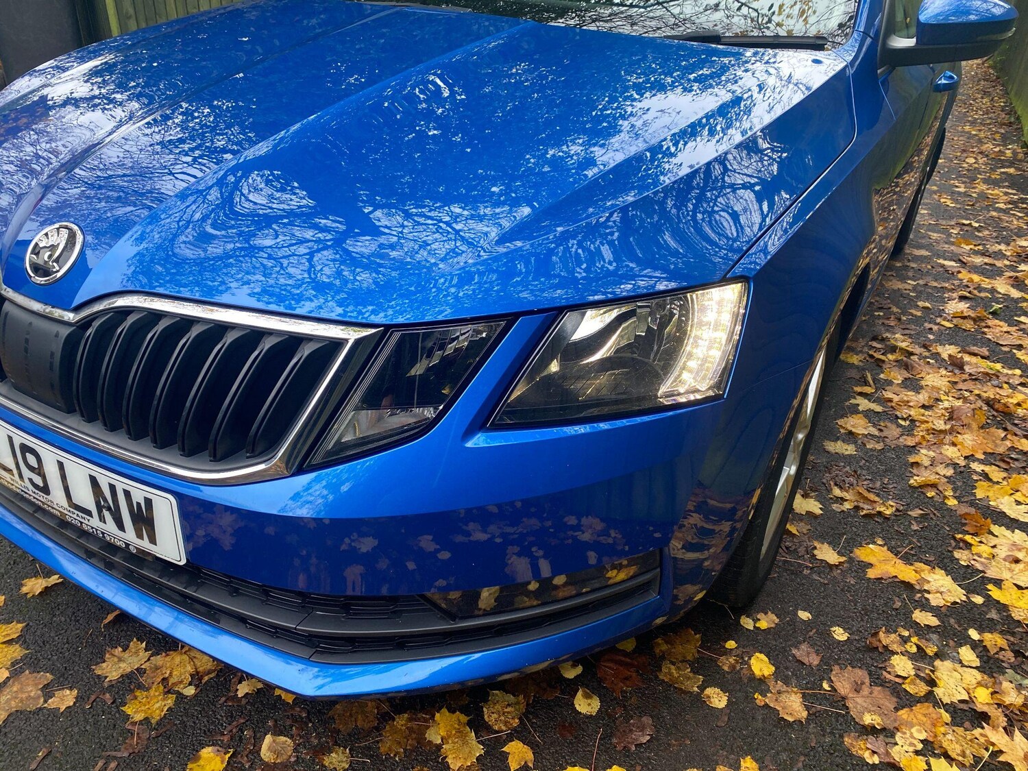 Used Skoda Octavia 2019 for sale - 76485183: Photo 16