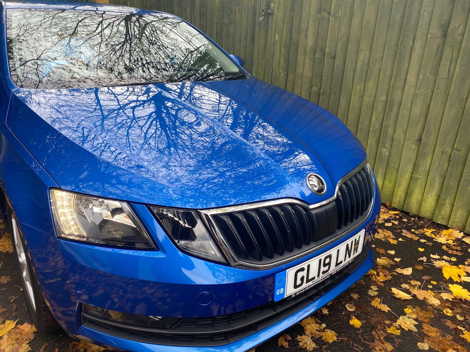 Used Skoda Octavia 2019 for sale - 76485183: Photo 3