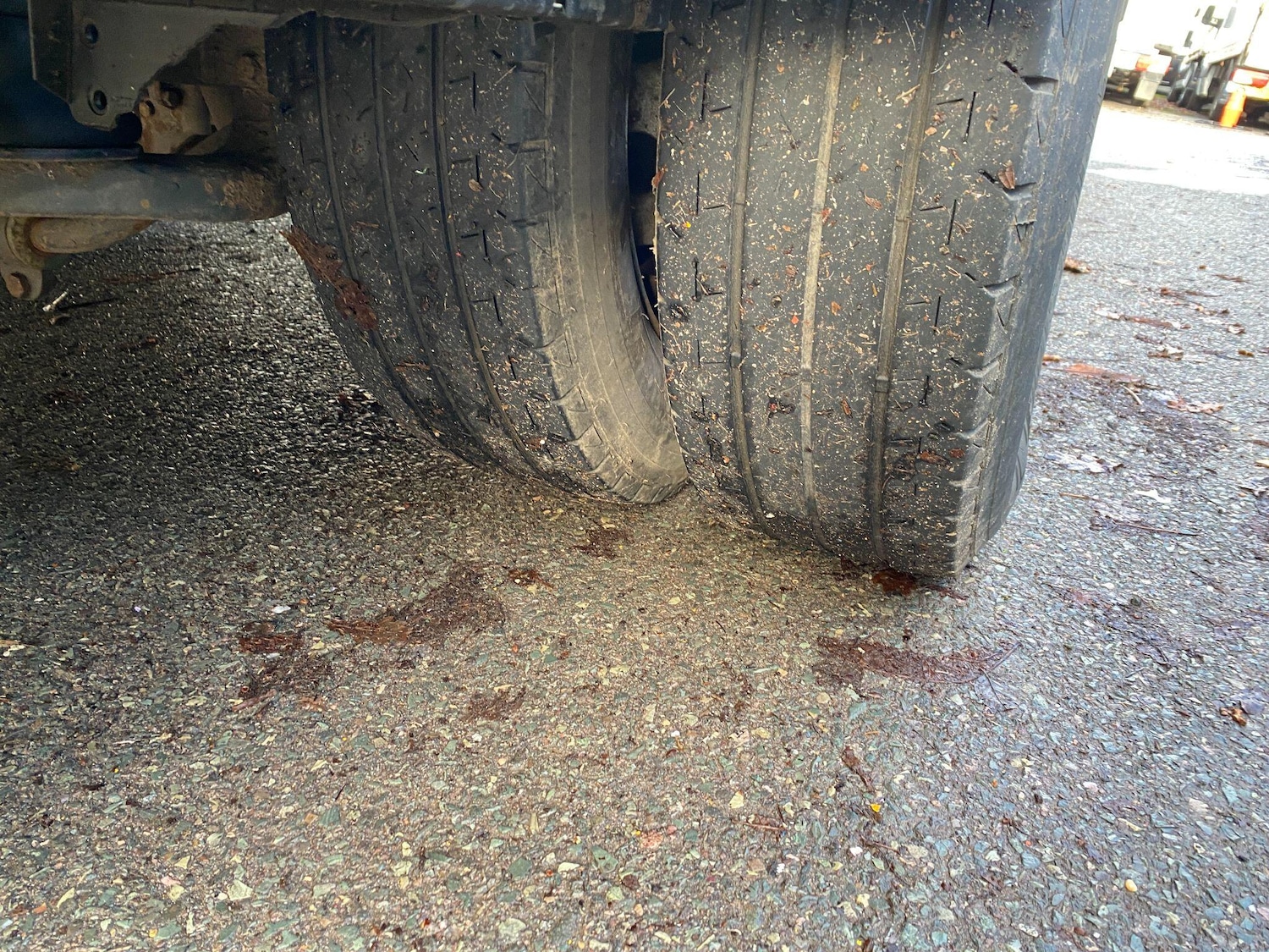 Used Iveco Daily for sale - 77242390: Photo 23