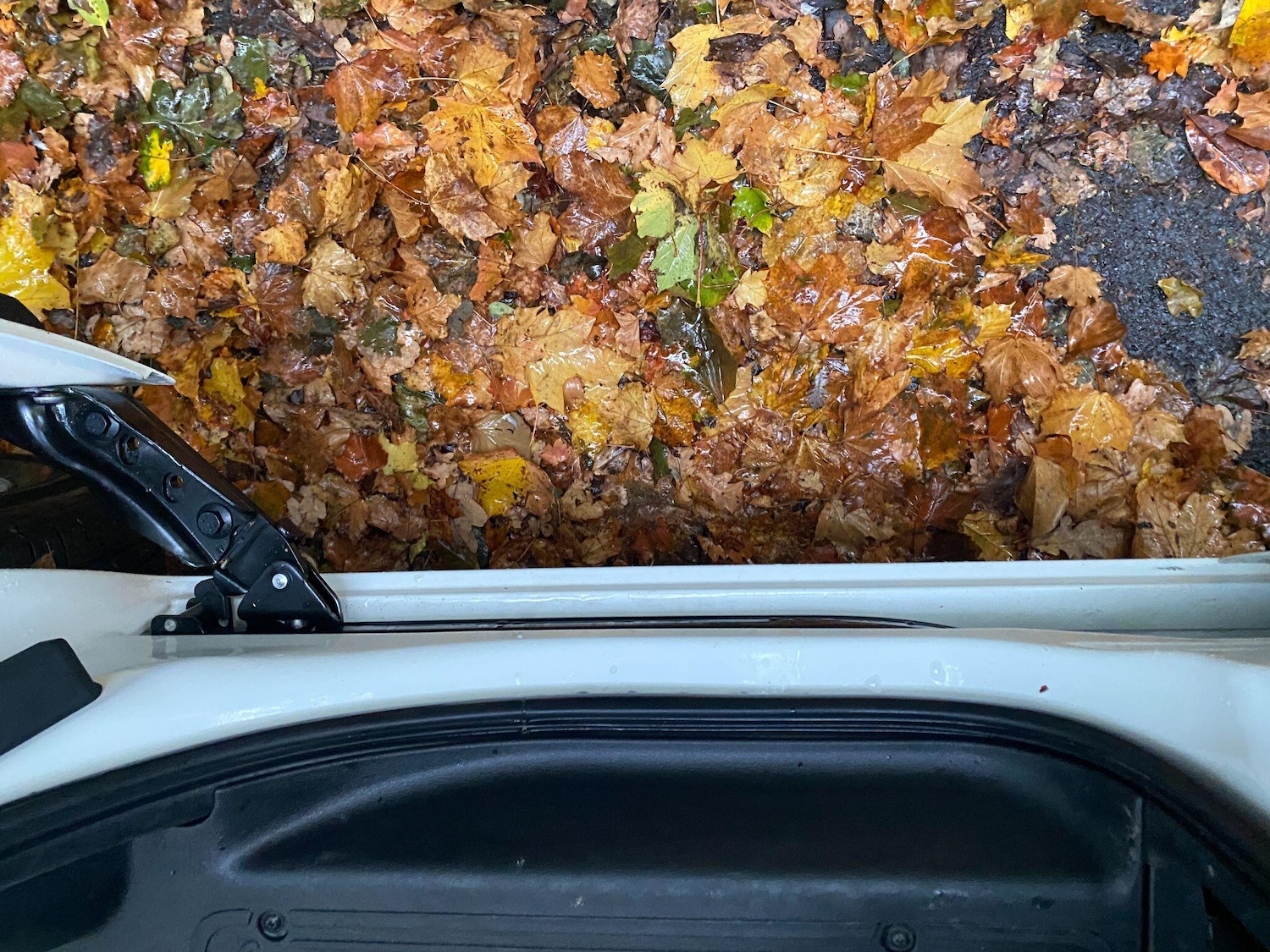 Used Fiat Fiorino 2024 for sale - 76988948: Photo 15