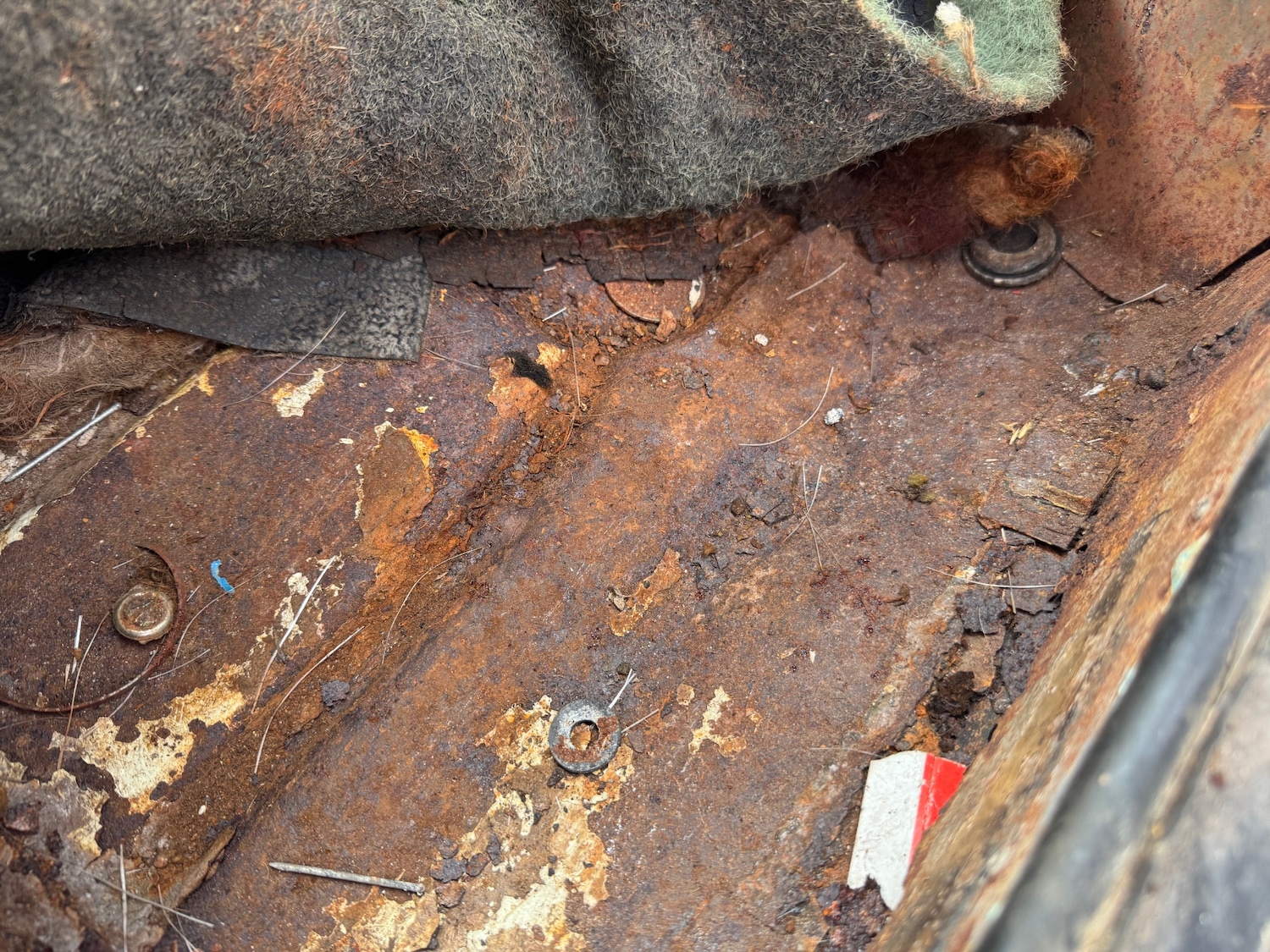 Used Morris Mini 1969 for sale - 76196715: Photo 13