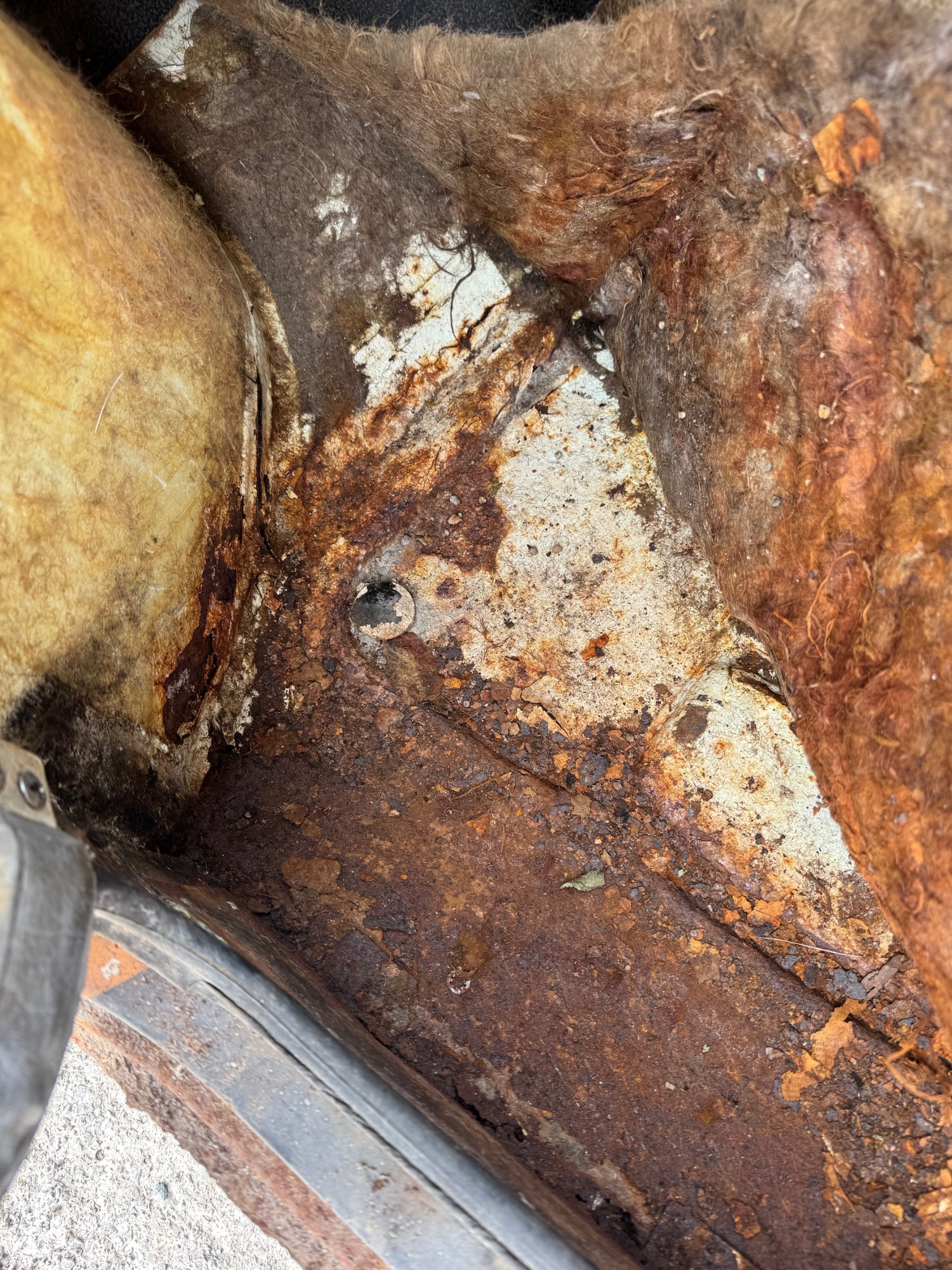 Used Morris Mini 1969 for sale - 76196715: Photo 21