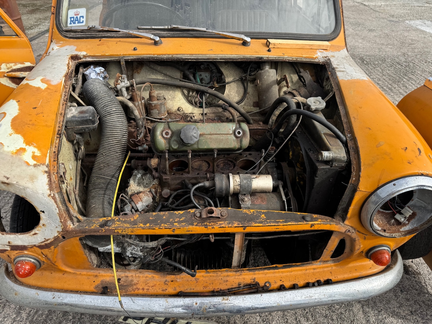 Used Morris Mini 1969 for sale - 76196715: Photo 25