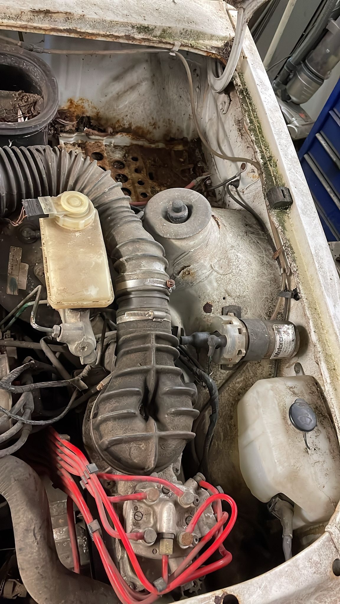 Used Ford Escort 1987 for sale - 77379295: Photo 12