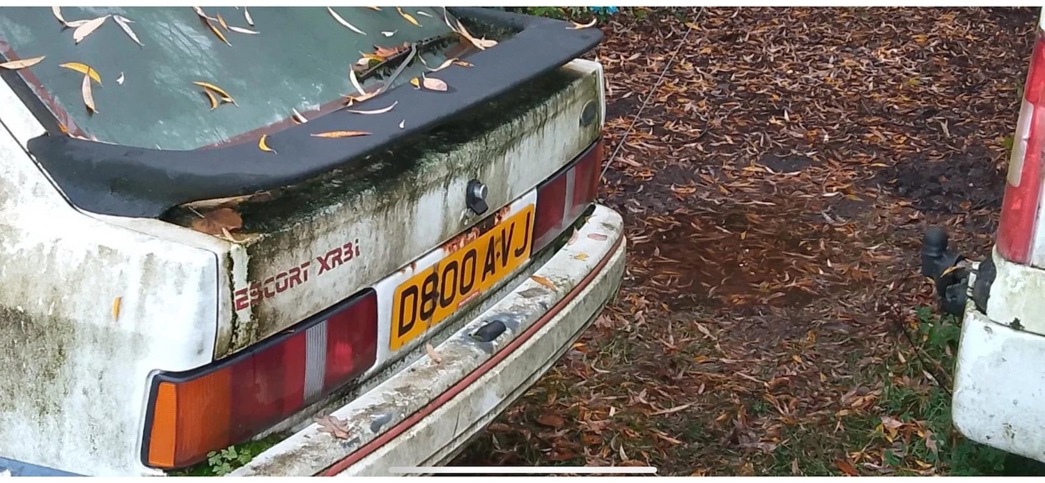 Used Ford Escort 1987 for sale - 77379295: Photo 7