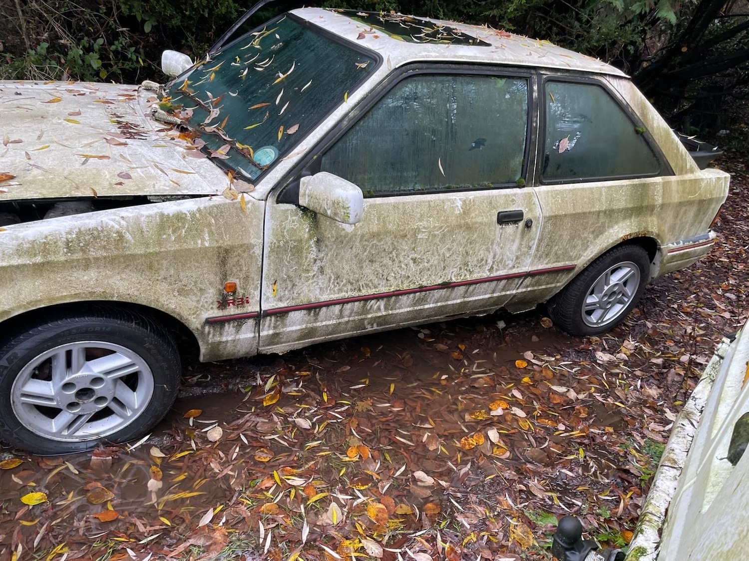 Used Ford Escort 1987 for sale - 77379295: Photo 9